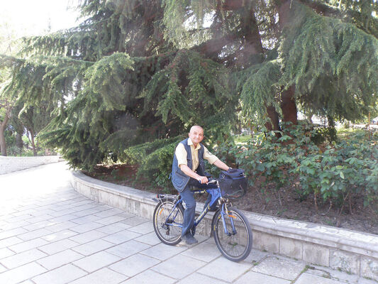  ,   , 65 ,   ,   