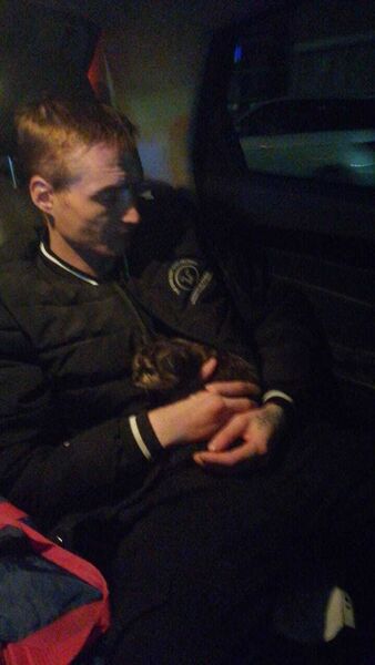  ,   Andrey, 33 ,   ,   , c , 