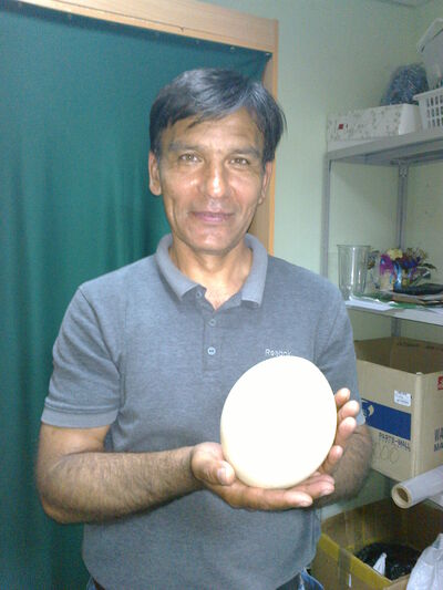  ,   , 60 ,   ,   