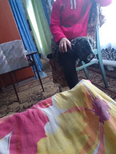  ,   , 45 ,   ,   