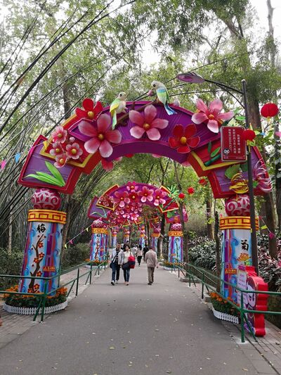 ,   Qin, 49 ,   ,   , c 