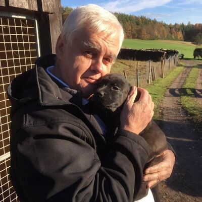  ,   Steven Harry, 69 ,   ,   , c 