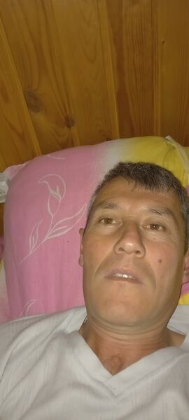   ,   , 41 ,   , c 