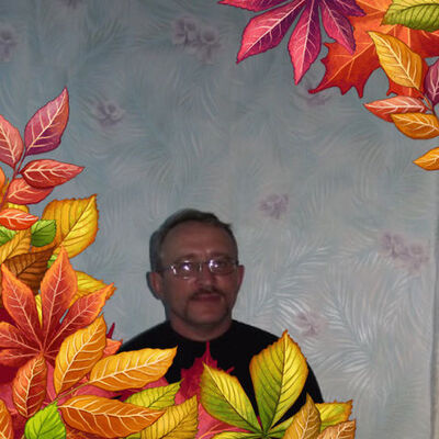  -,   , 61 ,   