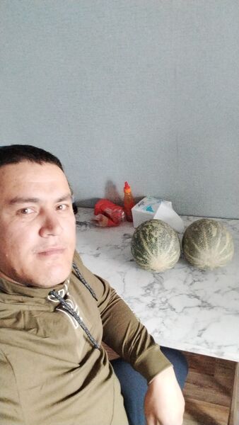  ,   Oybek, 34 ,   ,   
