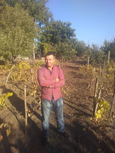  ,   Vitalic, 46 ,   ,   , c 