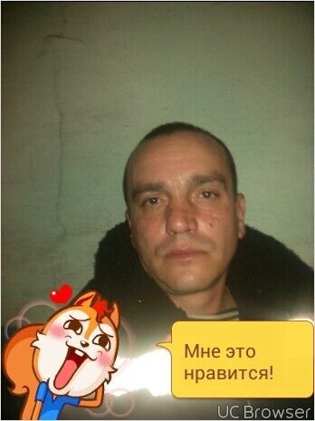   ,   , 51 ,  