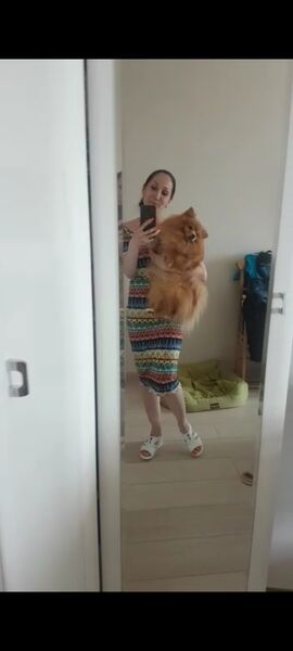  ,   , 42 ,   c 