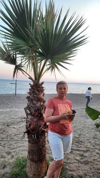  -,   , 52 ,   ,   