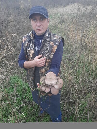 ,   , 45 ,   , 