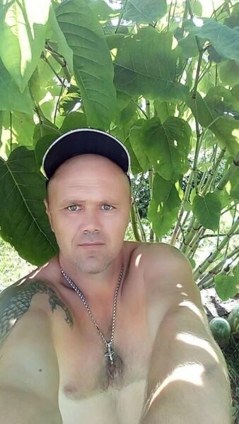  -,   , 53 ,   ,   
