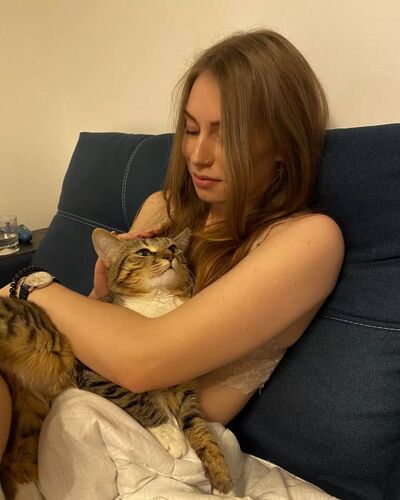  -,   , 29 ,   ,   