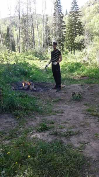  -,   , 38 ,   ,   , c 