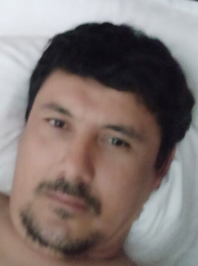  ,   BUILDERPAINT, 45 ,   ,   