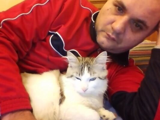  Viola,   Petar, 50 ,   , 