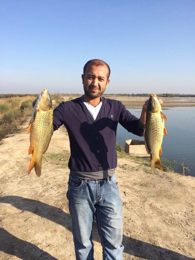  ,   Werxan, 37 ,   