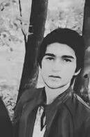 ,   Cep, 29 ,   