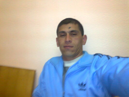  ,   DIMA, 43 ,   