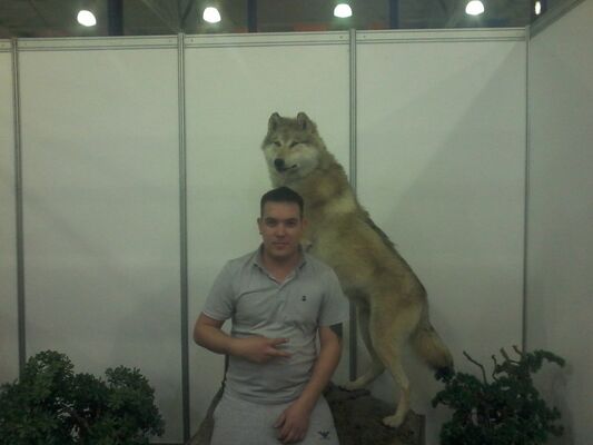  ,   Sergo, 34 ,   ,   , c 