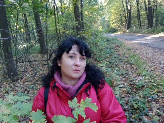  ,   , 53 ,   c 