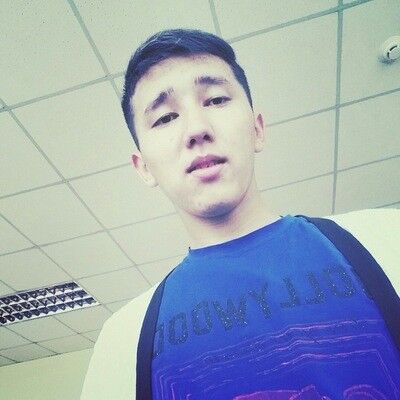  8629258  , 28 ,    -