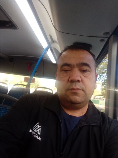  ,   Yorilla, 49 ,   ,   
