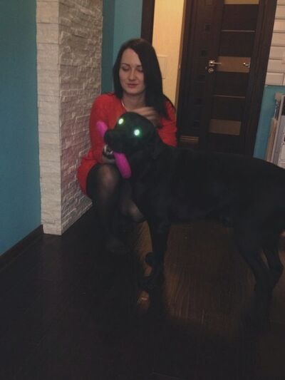  ,   Golubajacrov, 33 ,   