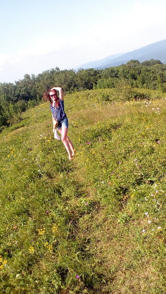  -,   , 38 ,   ,   , c 