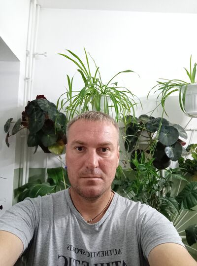  ,   , 41 ,   ,   , c , 