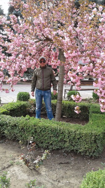  ,   , 41 ,     , c 