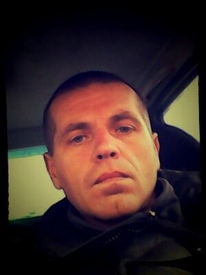  8338168  , 49 ,    
