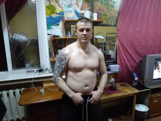  --,   , 41 ,   