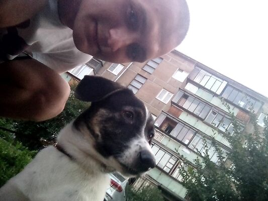  ,   Serzh, 29 ,   ,   , c 