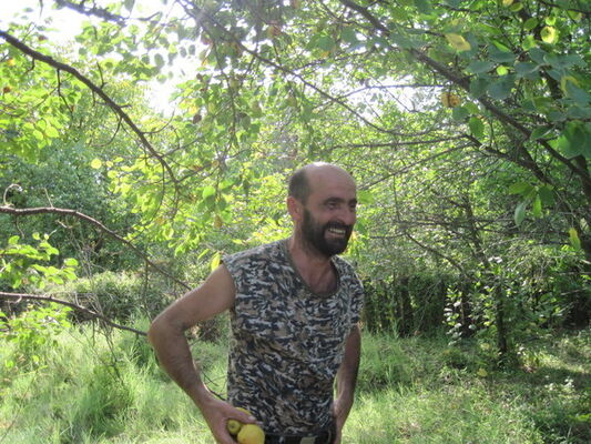  ,   , 59 ,  