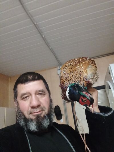  ,   , 45 ,   ,   