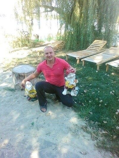  8503458  , 43 ,    --