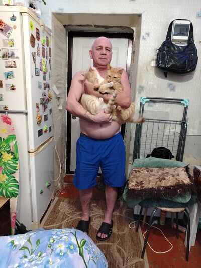   ,   , 52 ,   ,   
