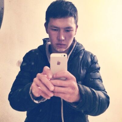  ,   Arsik, 31 ,  