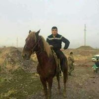  ,   Zafar, 40 ,   ,   , c , 
