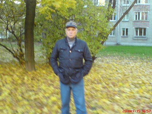  -,   , 74 ,  