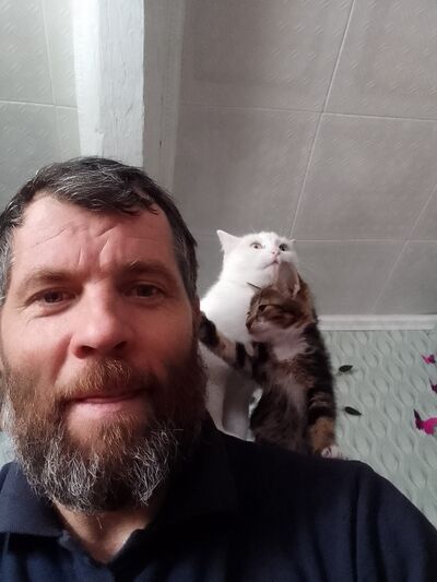  -,   , 41 ,   ,   