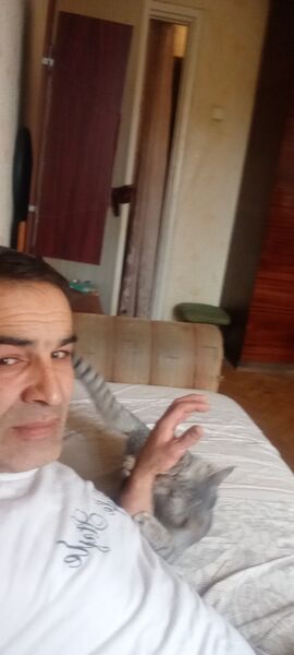  ,   , 43 ,   ,   , c , 