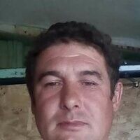   ,   , 44 ,   