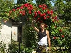  ,   , 39 ,   ,   , c 