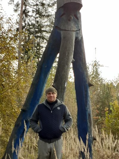  ,   ˸, 41 ,   ,   