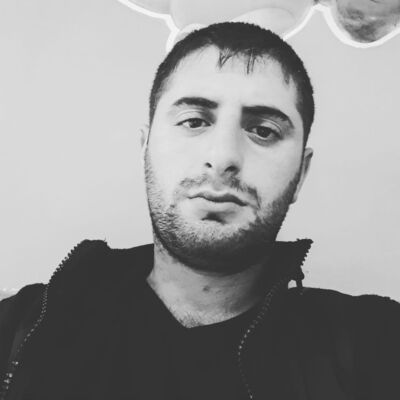  ,   Art, 29 ,   ,   