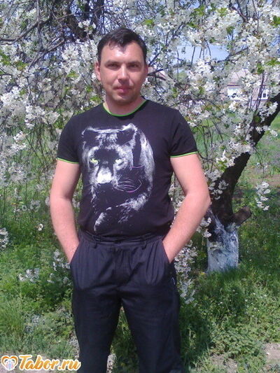  ,   , 41 ,   