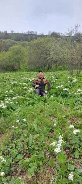 ���������� ����������, ���� ������� Sergey, 46 ���, ������������ ��� ������, ����� � ���������, c�������� ���������