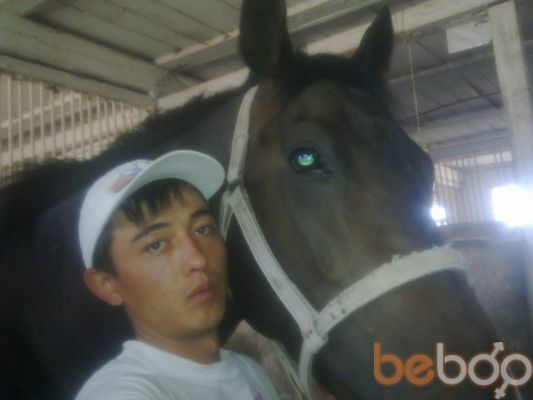 ���������� ������, ���� ������� ������, 37 ���, ������������ ��� ������