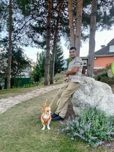  ,   , 30 ,   ,   